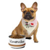Custom Stainless Steel Pet Bowl – PMF, Personized with our Pet’s Name