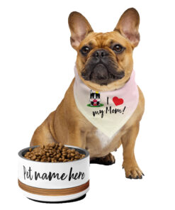 Custom Stainless Steel Pet Bowl – PMF, Personized with our Pet’s Name