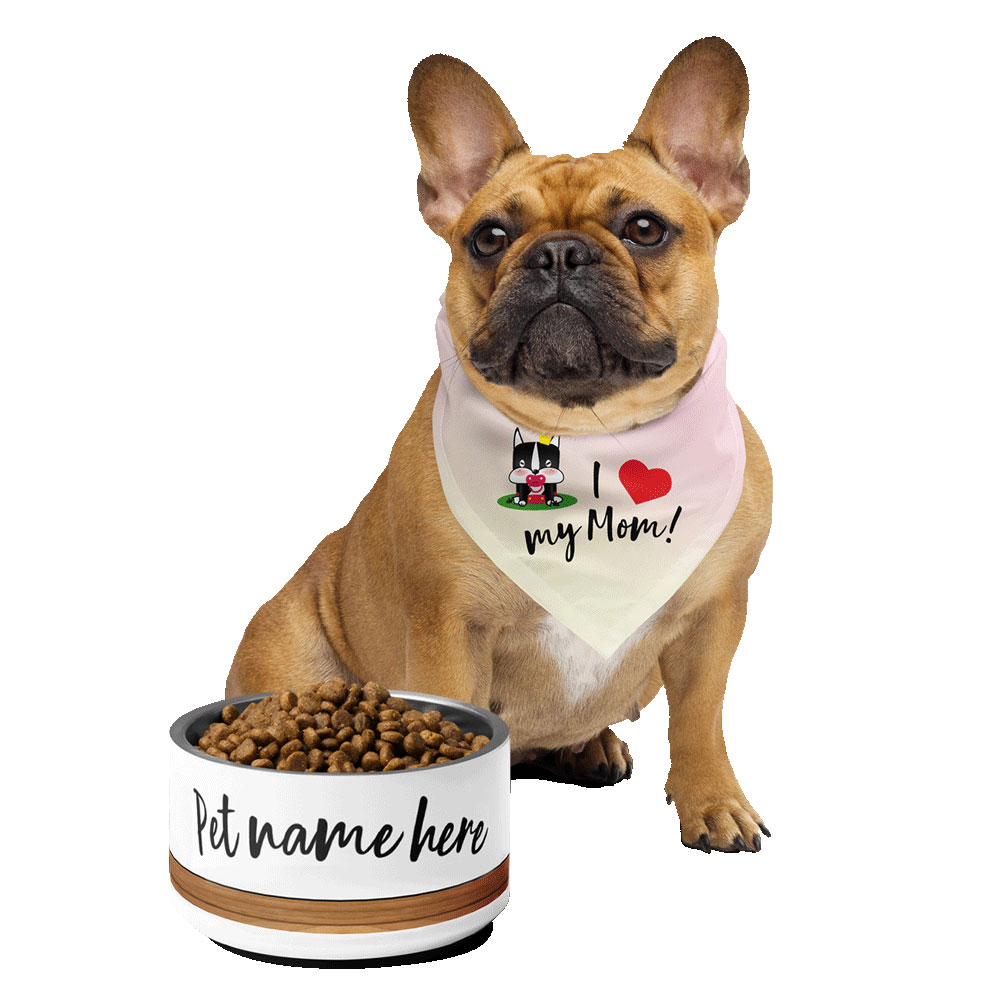 Custom Stainless Steel Pet Bowl – PMF, Personized with our Pet’s Name