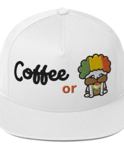 Alternative view of HipHop Don Flat Bill Cap - Coffee or Pug